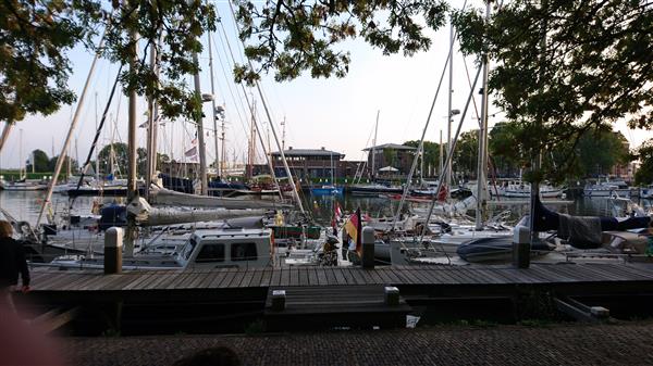 Harry De Wit