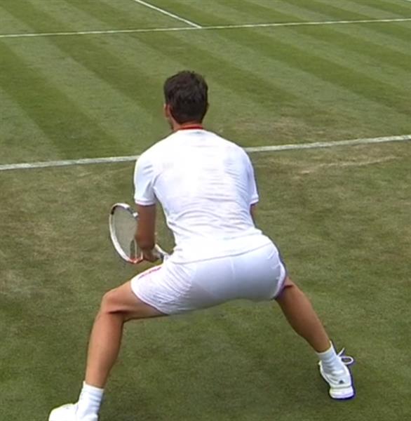 Gluteus Maximus